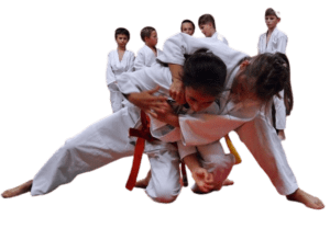 judo-removebg-preview.